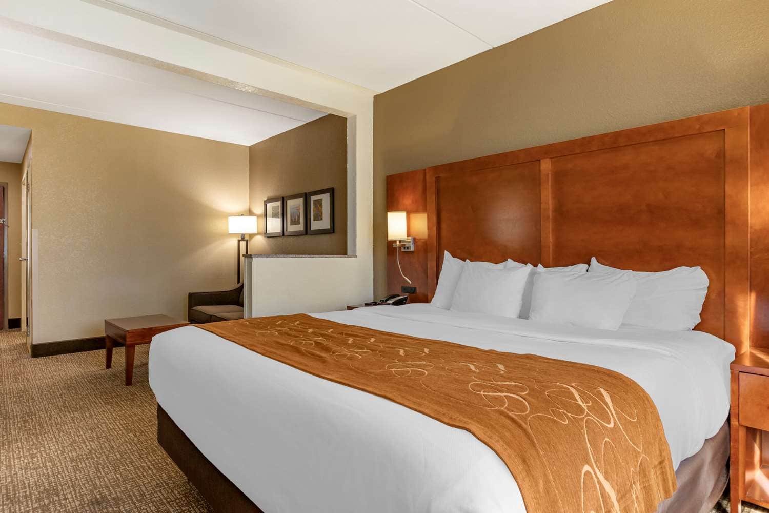 Comfort Suites Grand Rapids South
