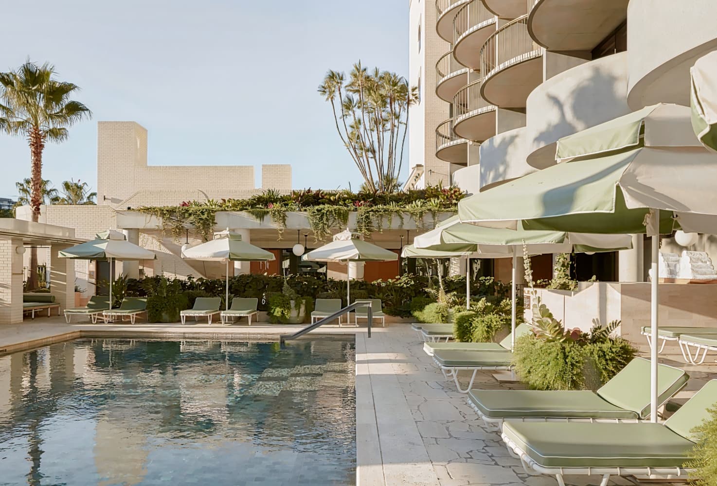 The Calile Hotel