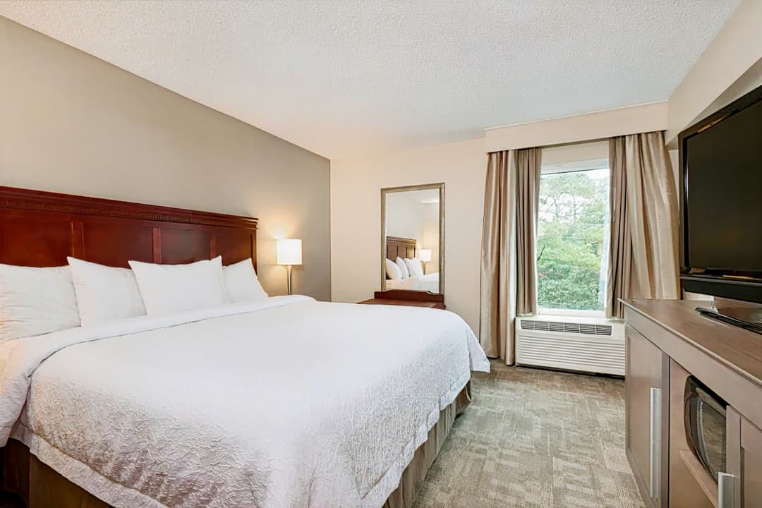 Hampton Inn Houston-Near The Galleria