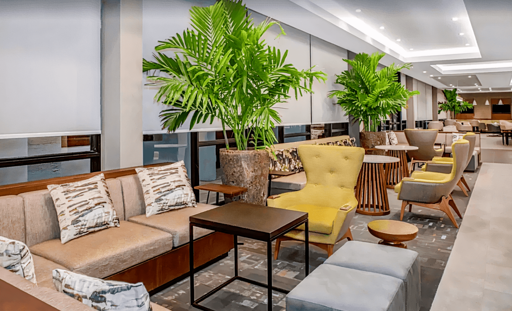 Wyndham Garden Ft Lauderdale Airport & Cruise Port