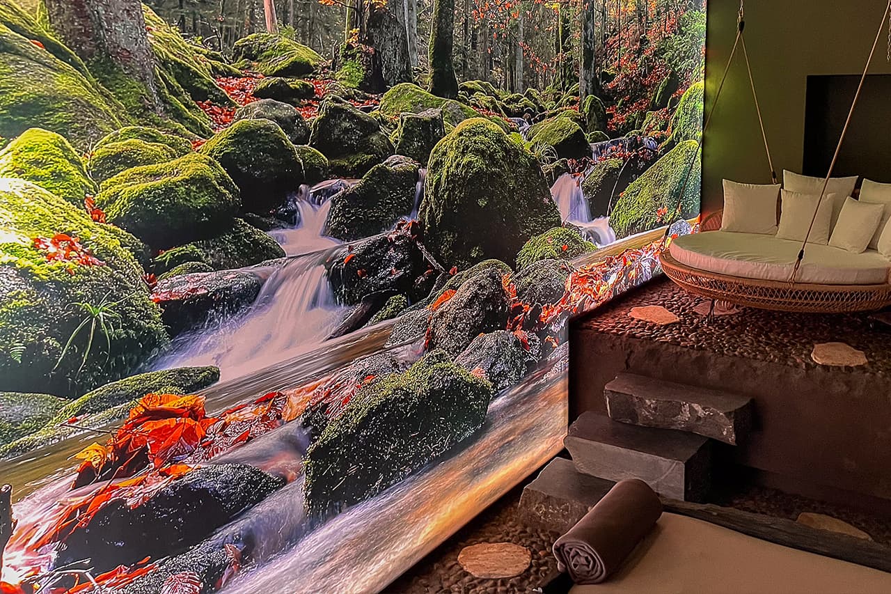 Hôtel-SPA Le Moulin De La Wantzenau - Strasbourg Nord