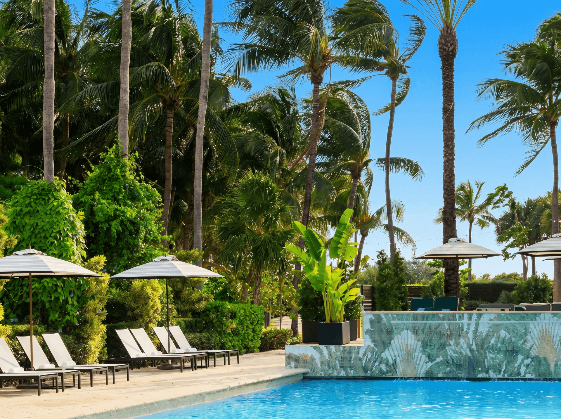 Kimpton Surfcomber Hotel by IHG