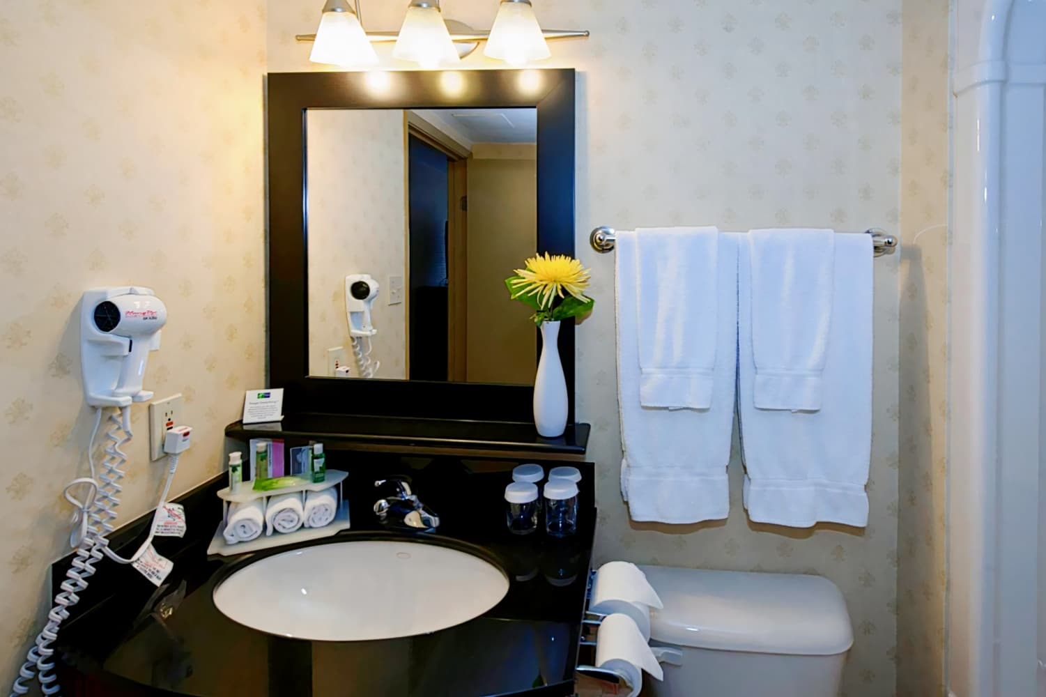 Allure Hotel & Suites London Downtown