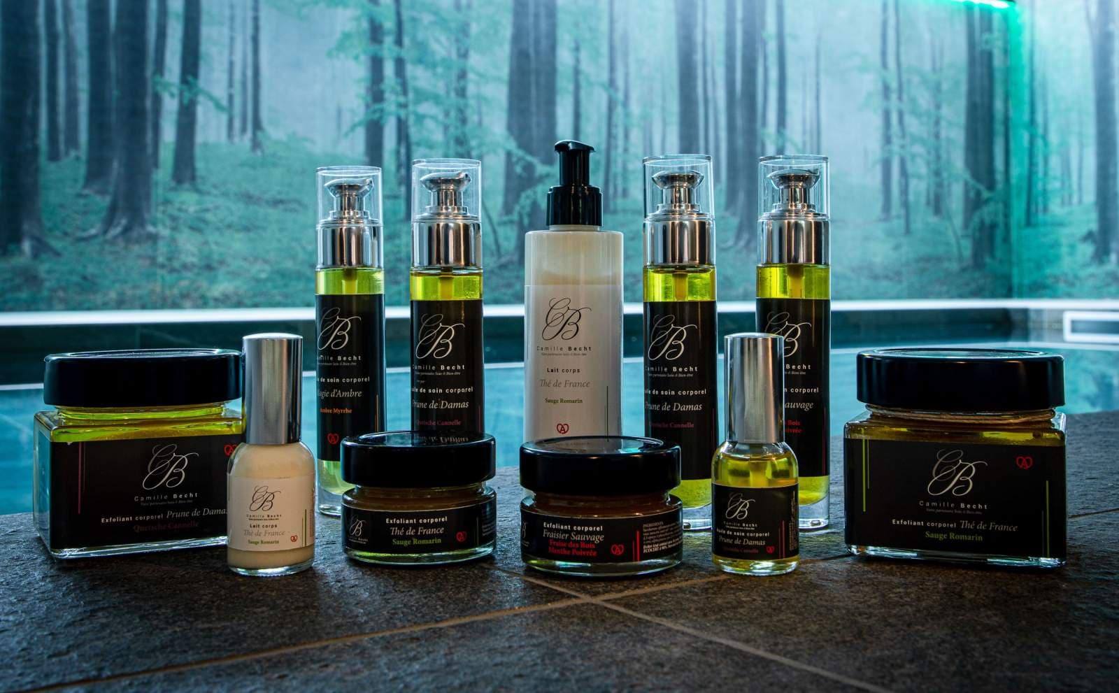 Europe Haguenau – Hotel & Spa