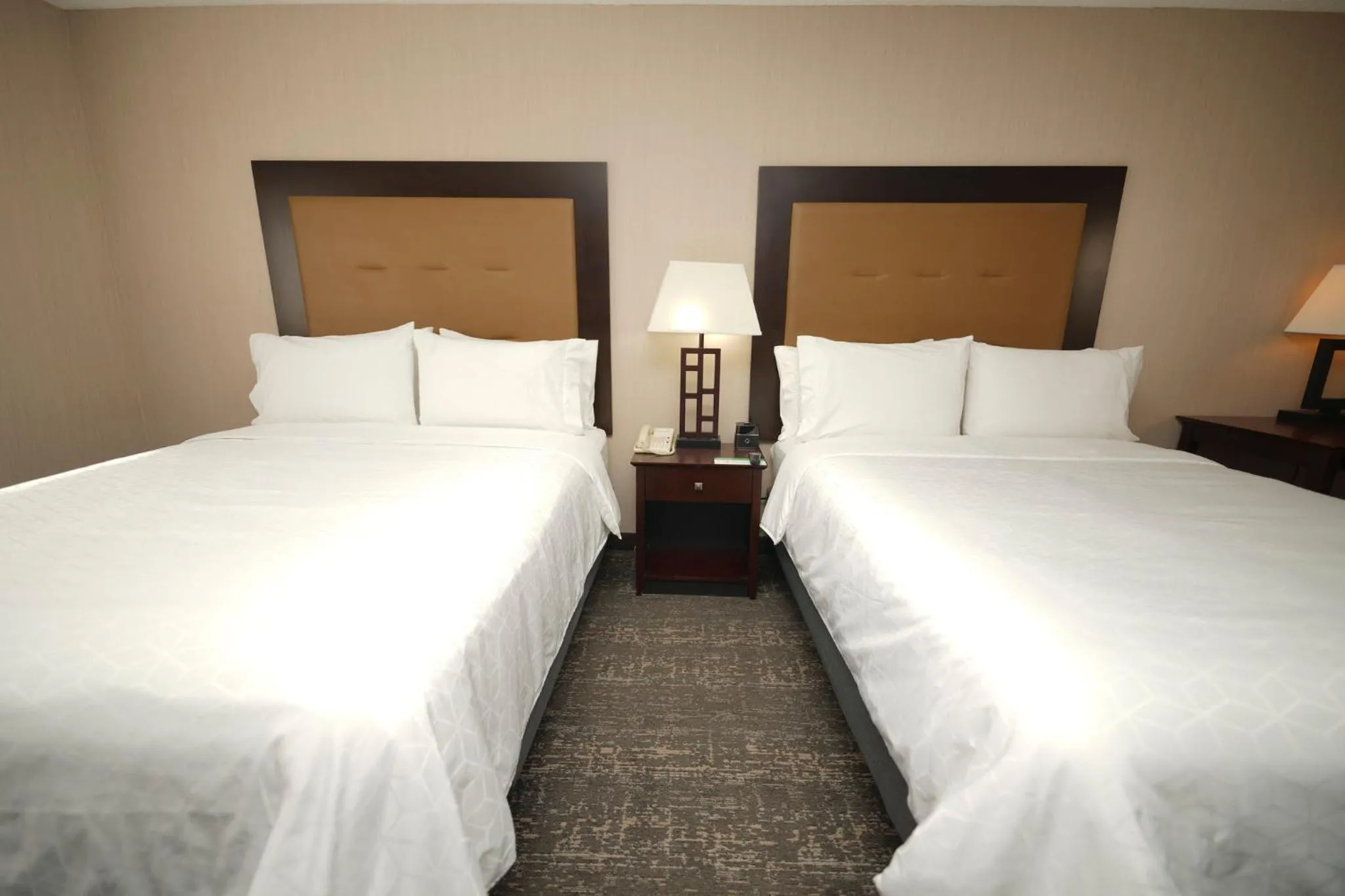 Holiday Inn & Suites Chicago-Carol Stream Wheaton, an IHG Hotel
