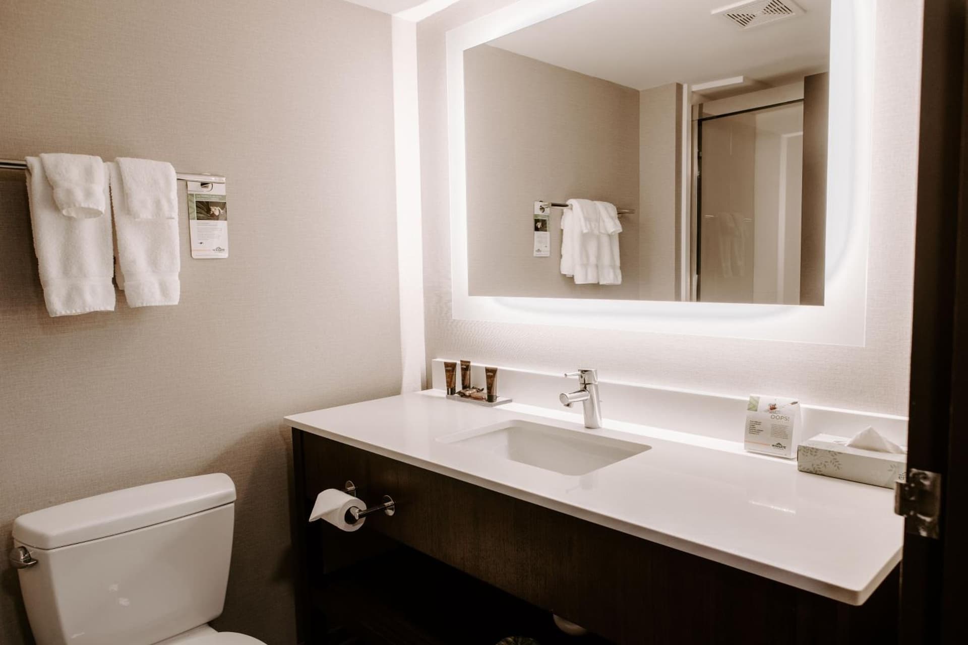 Wingate by Wyndham Chantilly / Dulles Airport