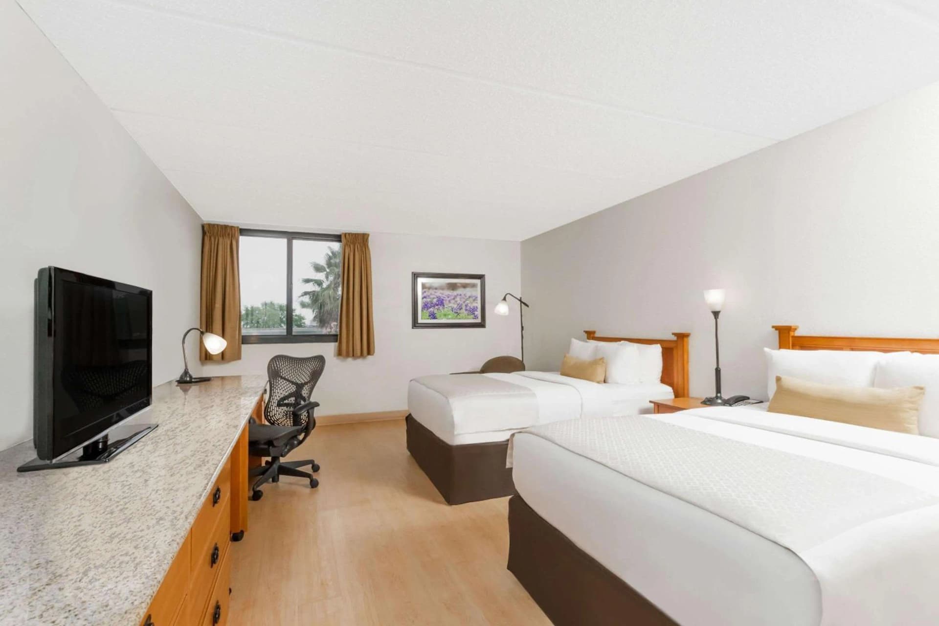 Wyndham Garden Hotel Austin