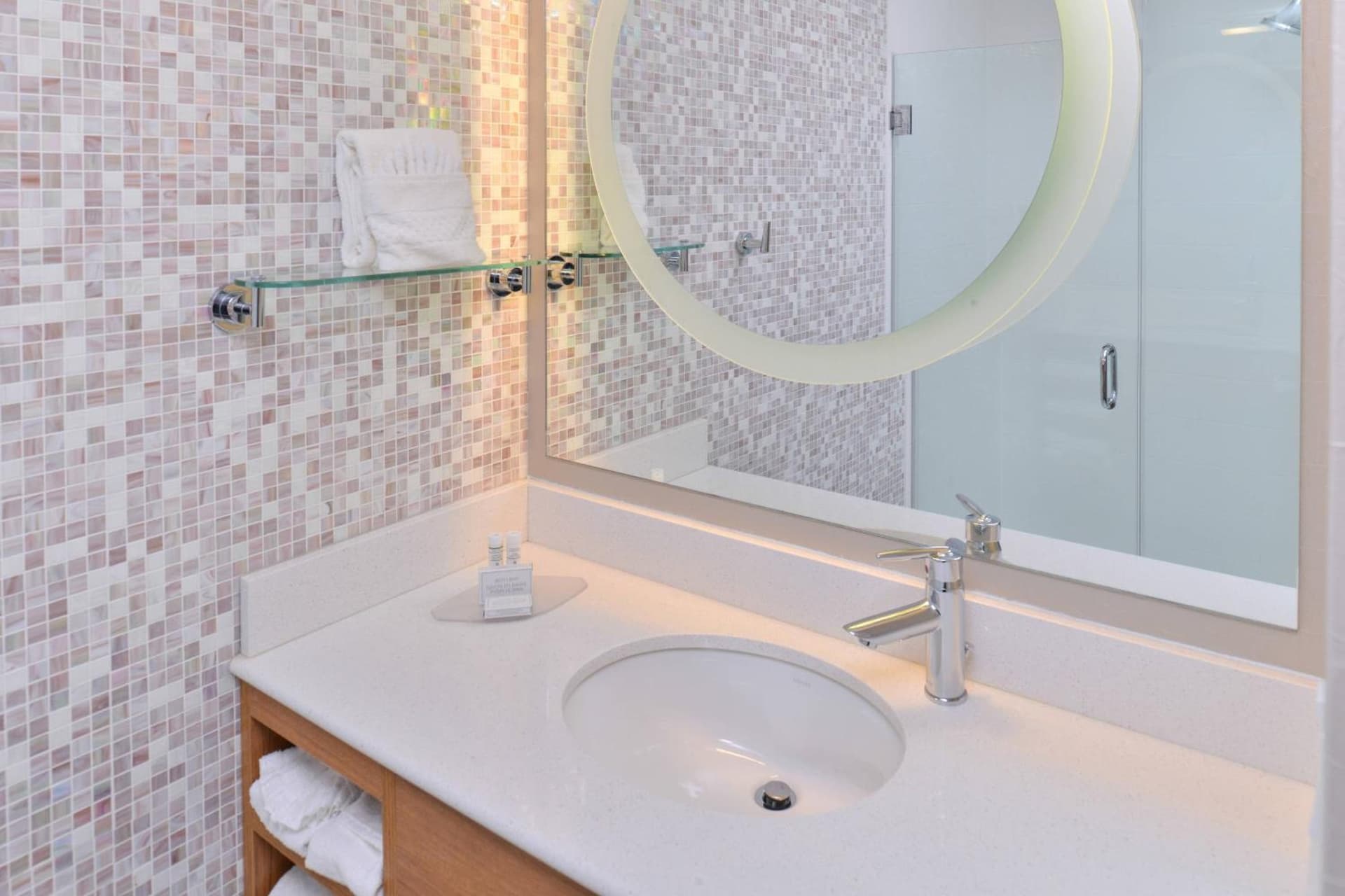 Springhill Suites by Marriott Detroit Metro Airport Romulus