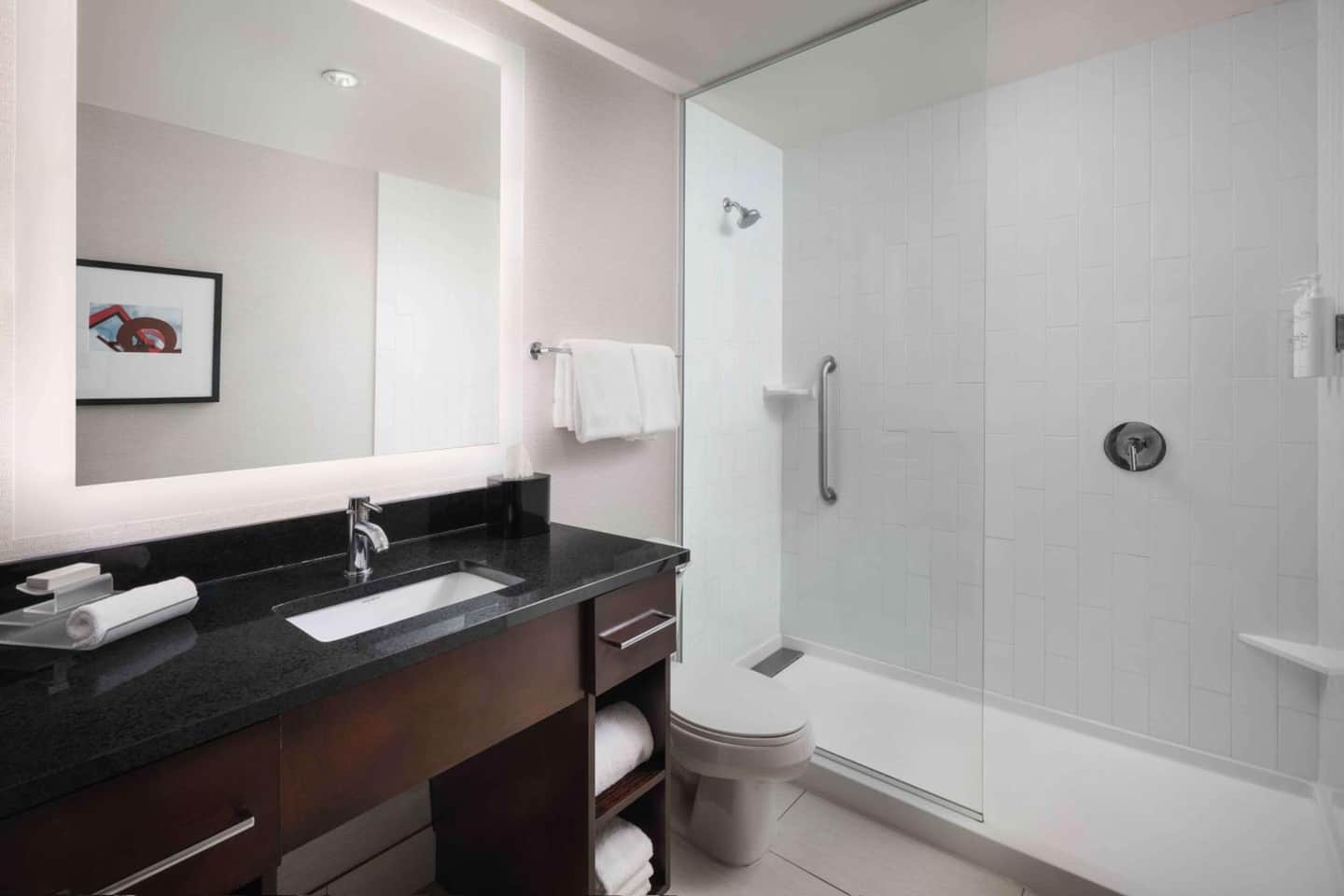 Homewood Suites by Hilton Denver Downtown-Convention Center