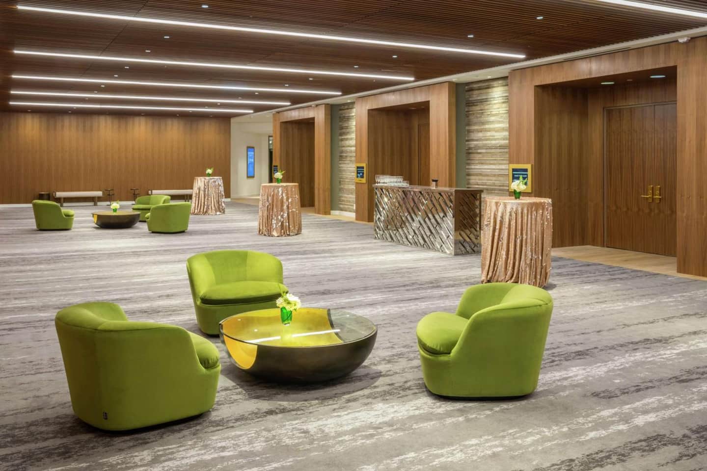 C. Baldwin, Curio Collection by Hilton