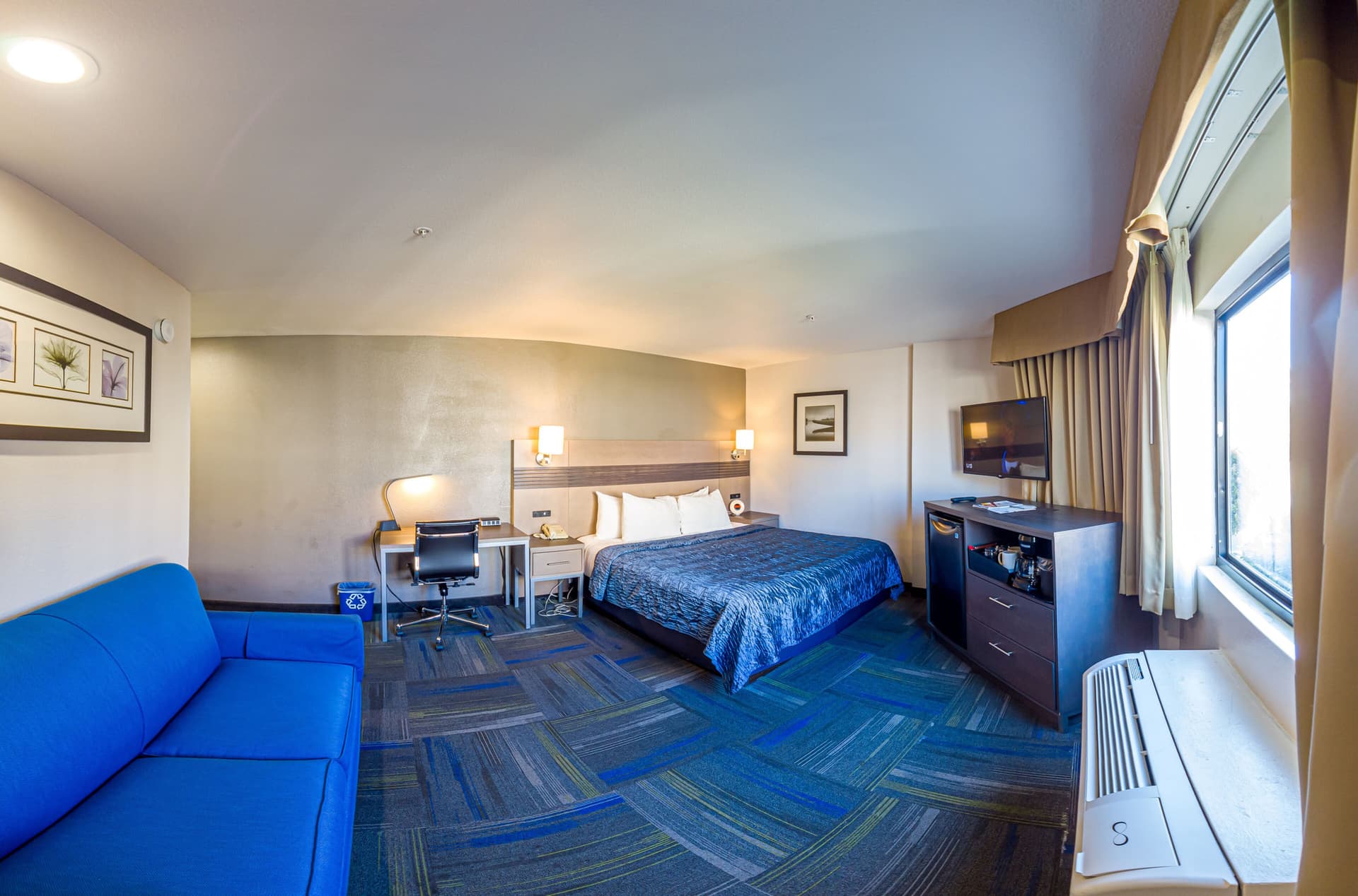 Buena Vista Motor Inn