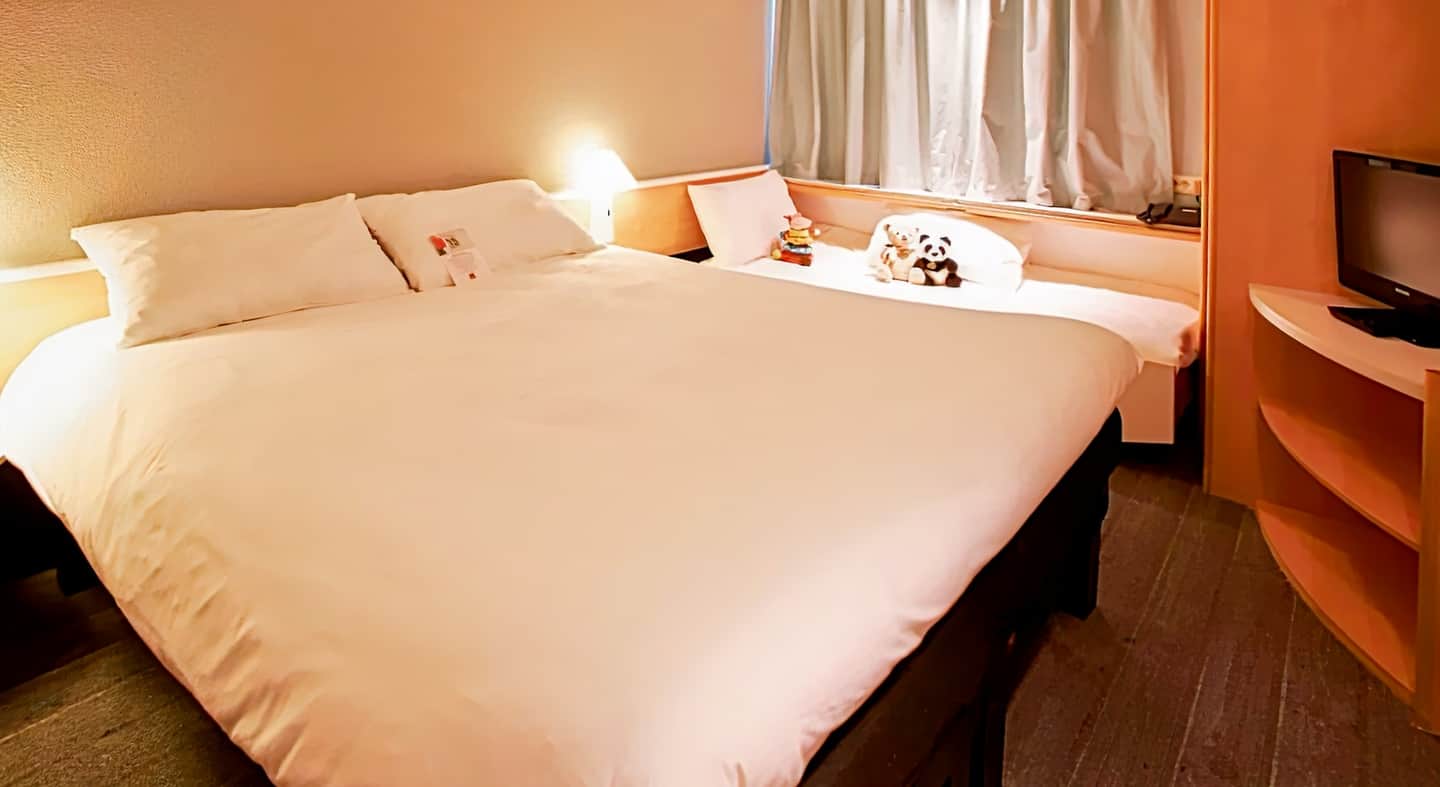 ibis Auray