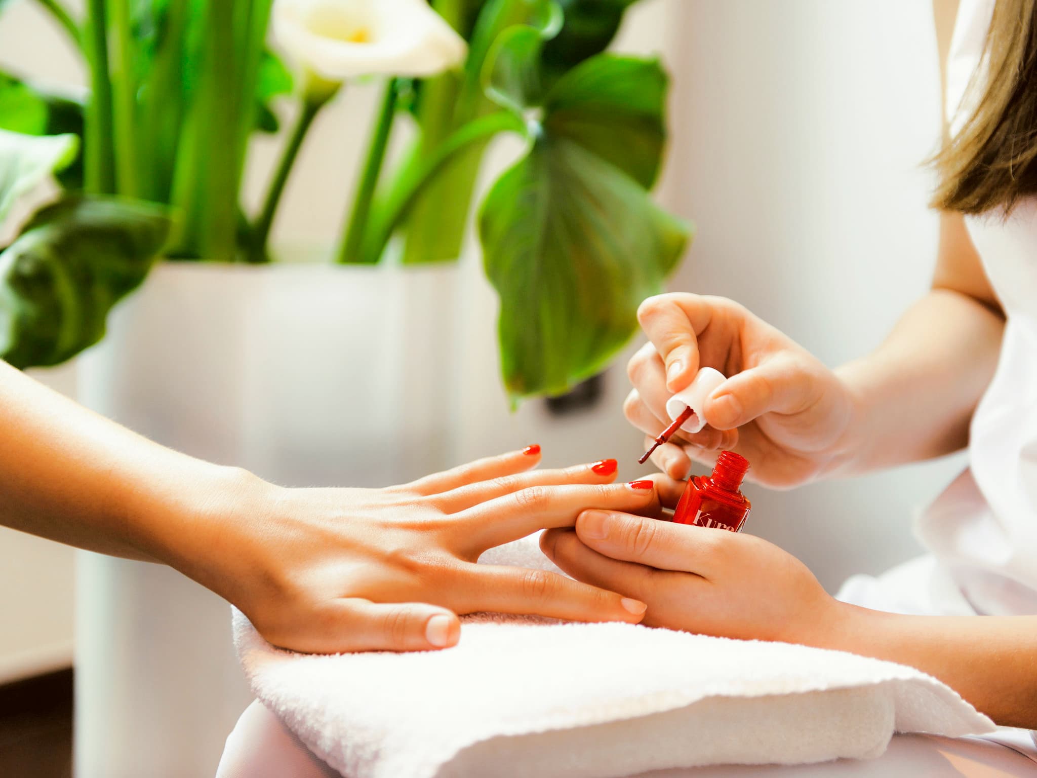 Carlton Hotel Lyon - MGallery Collection